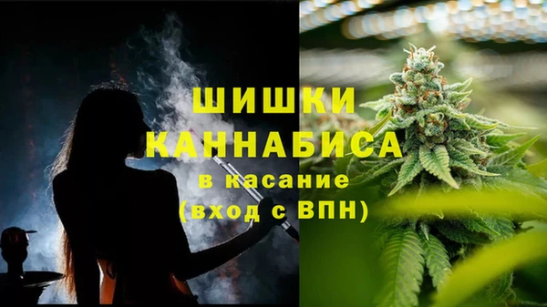 круглые Белокуриха