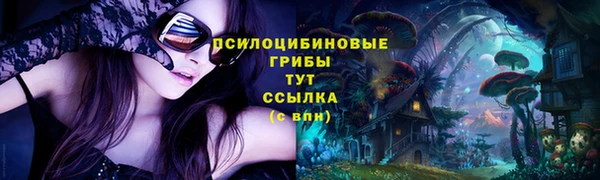 альфа пвп Беломорск